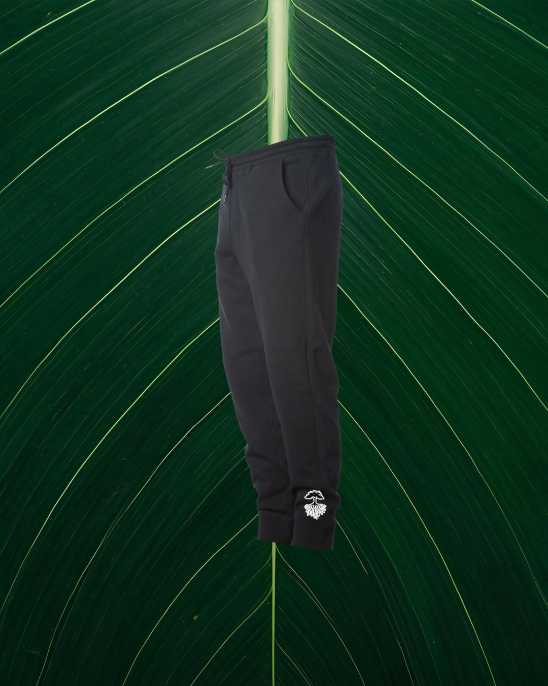 "Region Roots" Black Joggers
